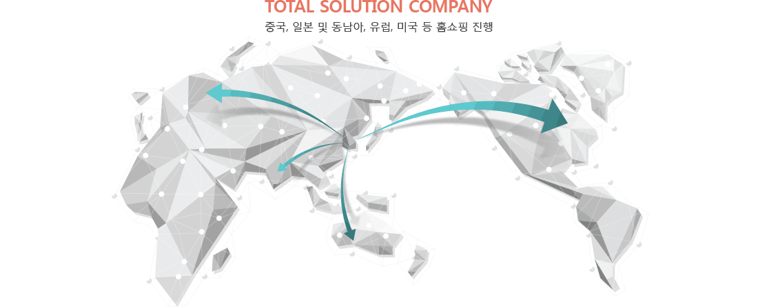 TOTAL SOLUTION COMPANY